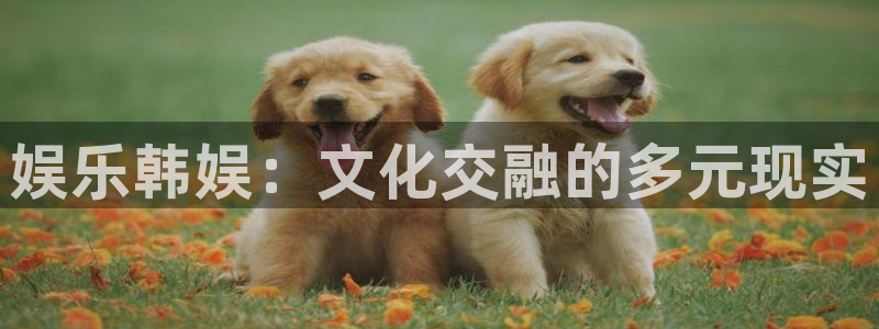 摩根娱乐：娱乐韩娱：文化交融的多元现实