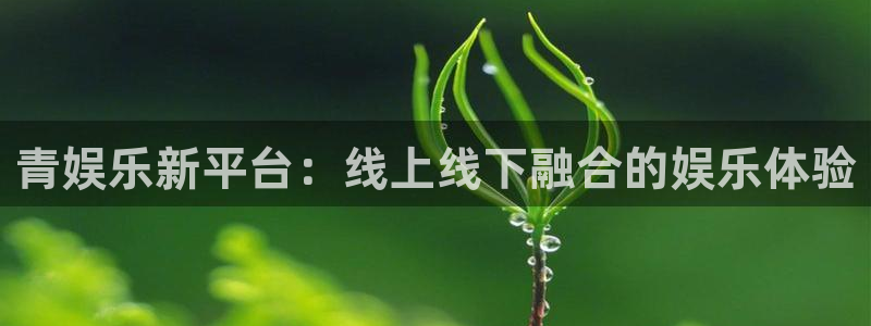 摩根娱乐：青娱乐新平台：线上线下融合的娱乐体验