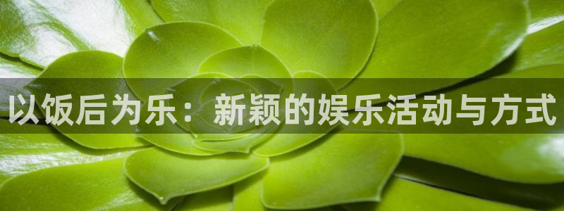 摩根娱乐：以饭后为乐：新颖的娱乐活动与方式