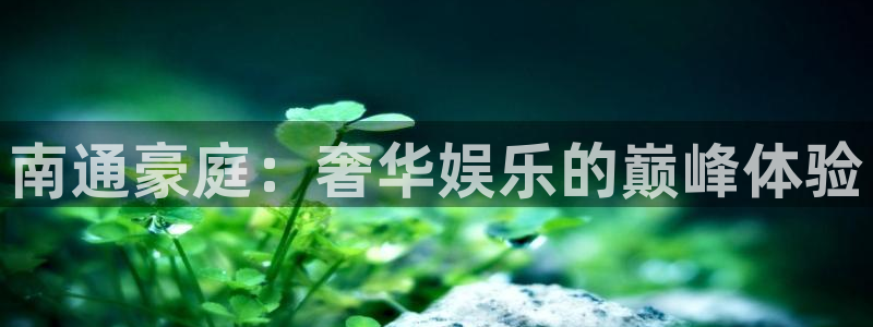 摩根娱乐：南通豪庭：奢华娱乐的巅峰体验